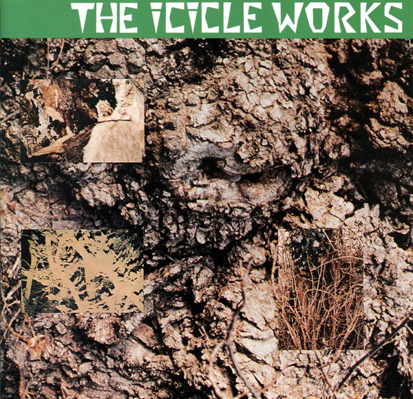 The Icicle Works cover