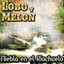 Niebla En El Riachuelo - Lobo Y Melon Albumcover