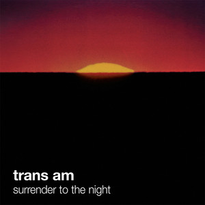 Surrender to the Night cover