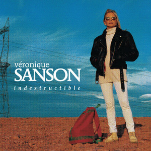 Indestructible album