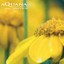 Aquana Volume 1: Stillness Albumcover