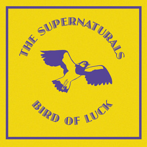 Bird of Luck cover