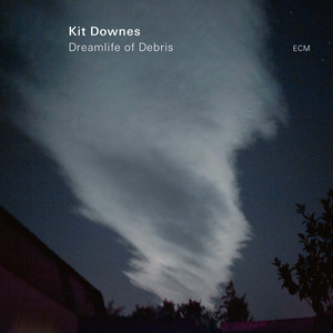 Dreamlife of Debris cover