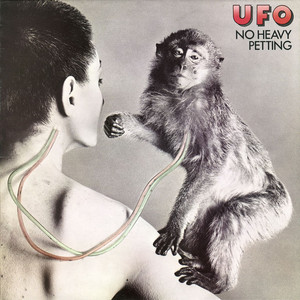 No Heavy Petting album