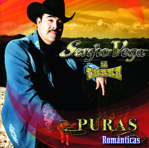 Puras Románticas cover