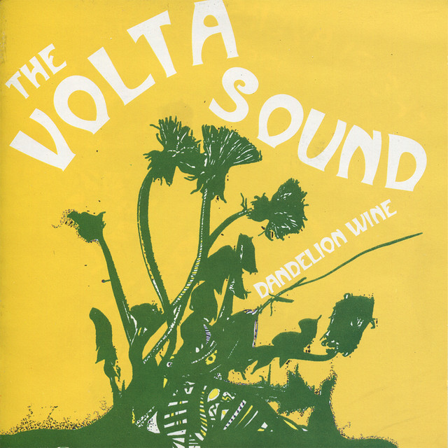 The Volta Sound Photo