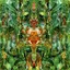 Emerald Aether: Shape Shifting/Reconstructions Of Irish Music Albumcover