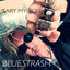 Gary Myrick's Bluestrash cover