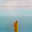 Andrew McMahon In The Wilderness cover
