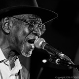 Frank Bey profile