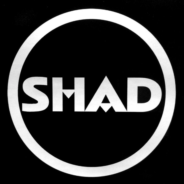 Shad