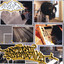 Basement Futuristik Albumcover