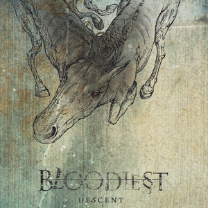 Descent cover