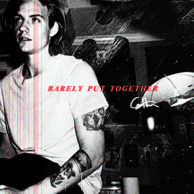 Musik Album 'Barely Put Together'