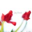 Daybreak Albumcover