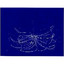 Blue Heaven Albumcover