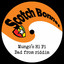 Bad from Riddim cover