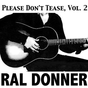 Please Don't Tease, Vol. 2 cover