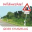 Wildwechsel Albumcover