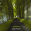 Safety In Movement Albumcover
