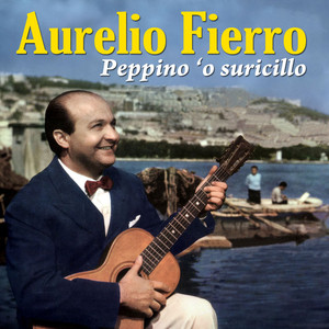 Peppino 'o suricillo cover