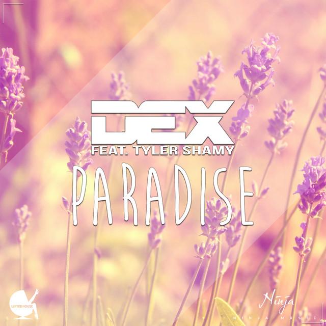 Paradise (feat. Tyler Shamy)