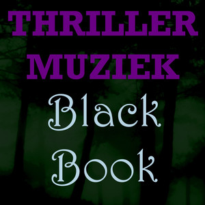 Black Book poster