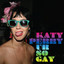 Ur So Gay cover