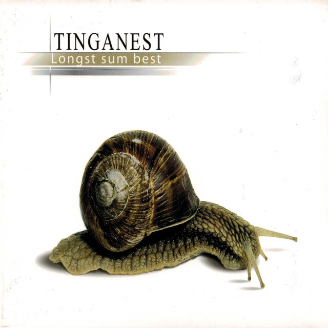 Tinganest Photo