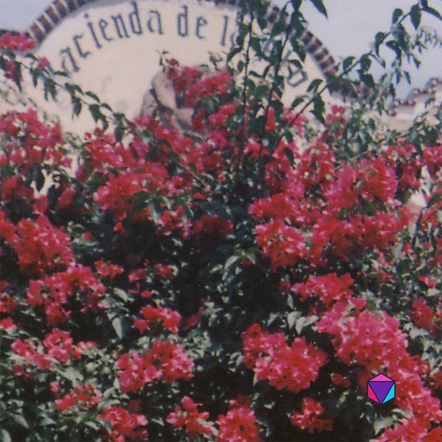 Los Amparito Photo