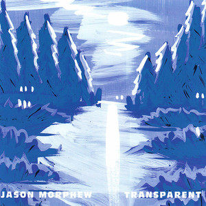 Transparent cover