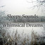 Sleepy Sounds Whimsical Dreams cover