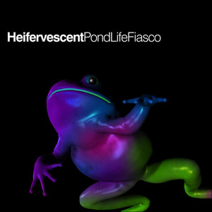 When the Stars Fall from Grace cover