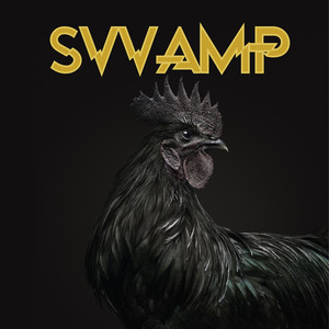 SVVAMP Photo