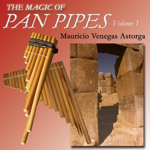 Mauricio Venegas Astorga