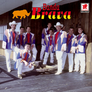 Brava Photo