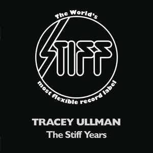 The Stiff Years cover