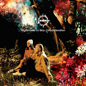 Mind Elevation album