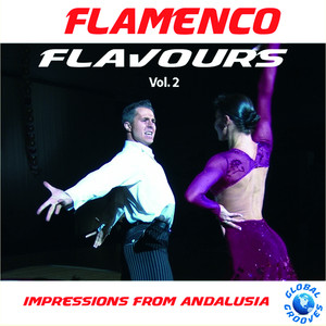 Flamenco Flavours Vol. 2 Albumcover