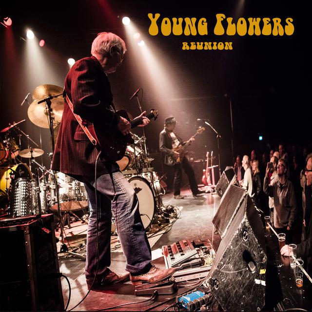 Young Flowers Reunion cover