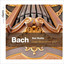 J.S. Bach: Organ Masterworks, Vol. II. Albumcover