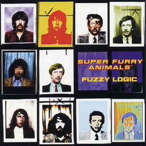 Fuzzy Logic album