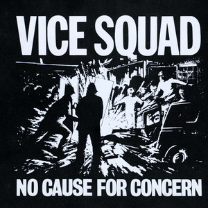 No Cause for Concern cover