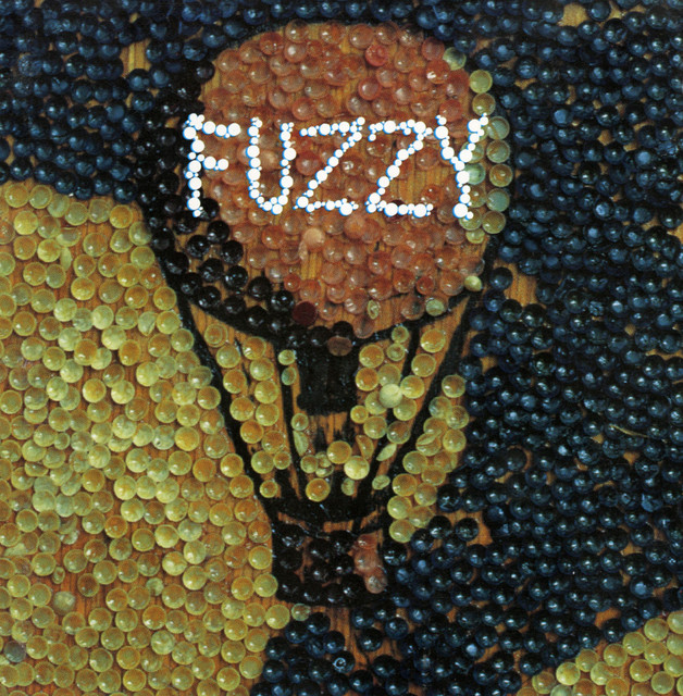 Fuzzy cover