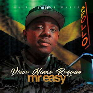 Voice Name Reggae cover