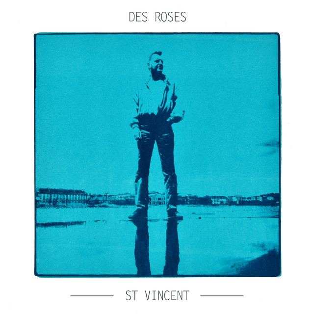 Des Roses Photo