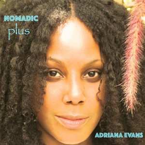 Nomadic cover