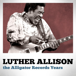 The Alligator Records Years album