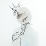 Blanche profile