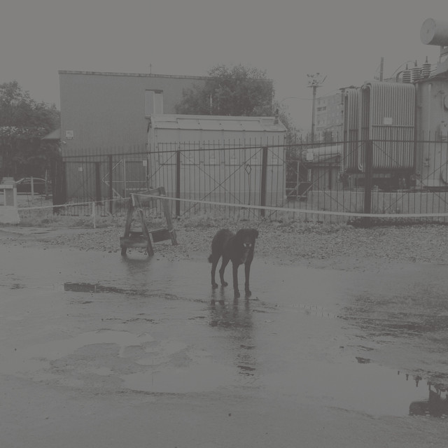 Nivhek Photo